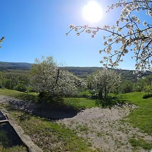 A Surrounded By Greenery - La Piaggia - Appartamento Vivo dʼOrcia